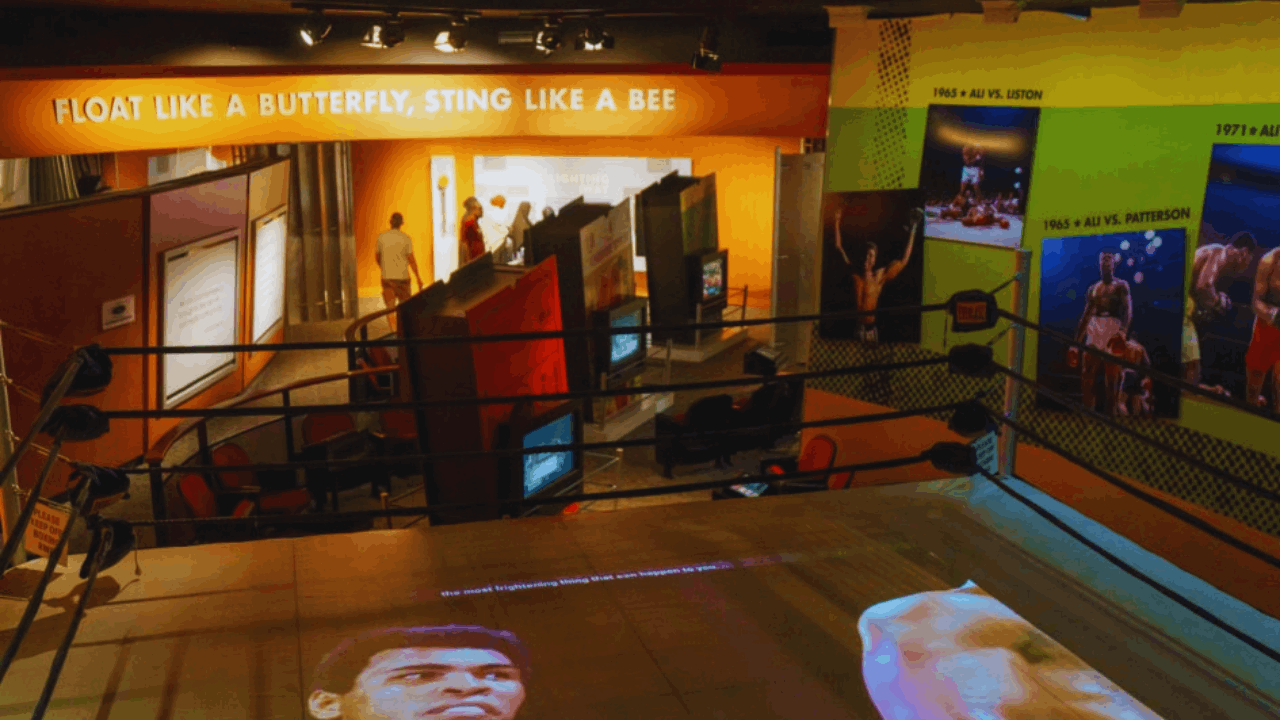 Famous Players’ Private Collections: What Do They Keep?
